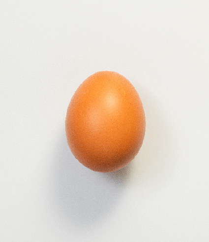 ไข่ไก่01
